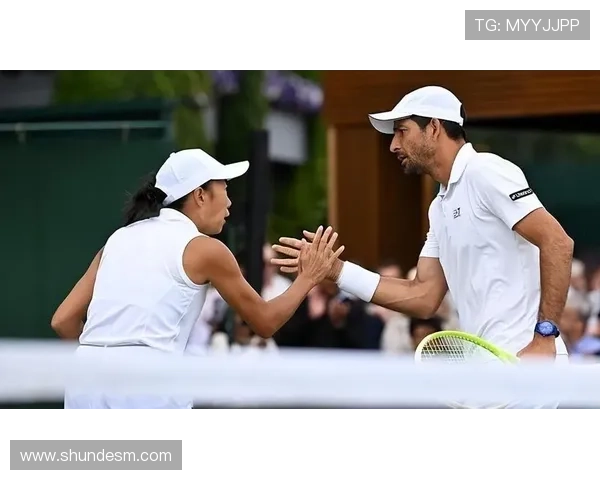 德约退赛引猜测 张帅失利辛纳七连胜 德约退赛引猜测 张帅失利辛纳七连胜